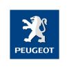 Peugeot 407 ,  #1
