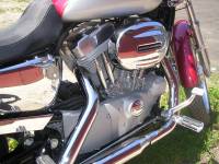 Harley-Davidson Sportster XL883C Custom,  #7
