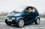 Smart City -    