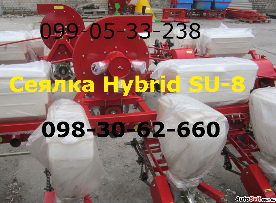   -8  Hybr,  #1