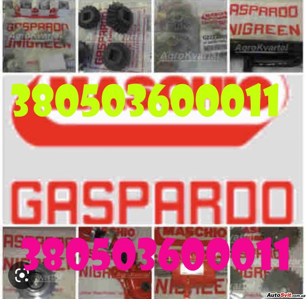 �������������� ���������� ���������� Gaspard, ���� #1