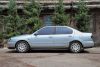 Nissan Primera ,  #1