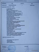 Ford Galaxy , ���� #2