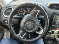 Jeep Renegade ,  #8