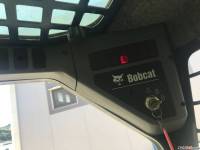 Bobcat 300,  #9