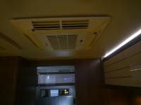 Caravelair sublin,  #8