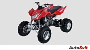 Arctic Cat 400 DVX 2004