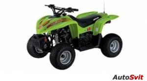 Arctic Cat 50 2x4 2004