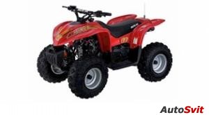 Arctic Cat 90 2x4 2004