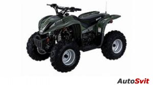 Arctic Cat 90 2x4 4-Stroke 2004