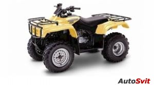 Honda FourTrax Recon ES 2004