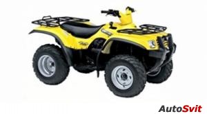 Suzuki Twin Peaks 700 4X4 2004