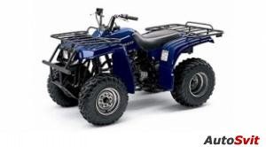 Yamaha BearTracker Base 2004