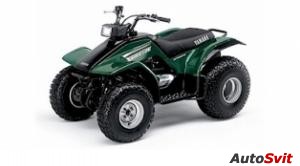 Yamaha Breeze Automatic 2WD 2004