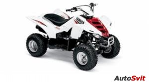 Yamaha Raptor 50 2004