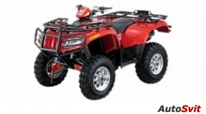 Arctic Cat 650 V-2 4x4 Automatic LE 2005