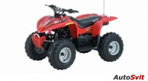 Arctic Cat 90 2x4 4-Stroke 2005