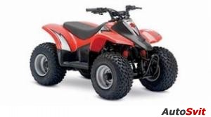 Suzuki QuadSport 50 2005