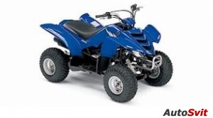 Yamaha Raptor 50 2005