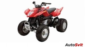 Arctic Cat 250 DVX 2006