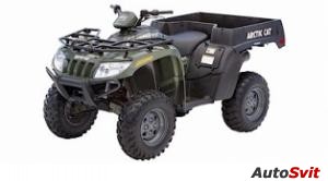 Arctic Cat 400 4x4 Automatic TBX 2006