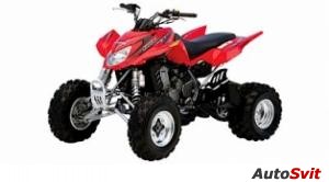 Arctic Cat 400 DVX 2006