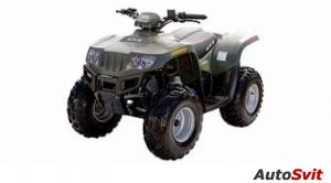 Arctic Cat 50 2x4 2006