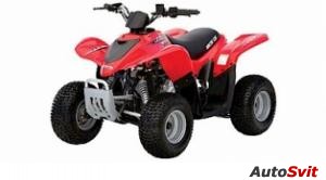 Arctic Cat 50 DVX 2x4 2006