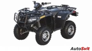 Arctic Cat 650 H1 4x4 Automatic SE 2006