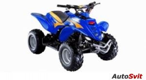 E-ton Viper 2-Stroke 70 2006