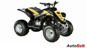 E-ton Viper 2-Stroke 90R 2006