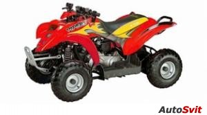 E-ton Viper 4-Stroke 70 Mini 2006