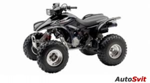 Honda TRX 300EX 2006