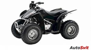 Honda TRX 90 2006