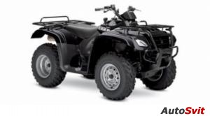 Suzuki Eiger 400 4X4 Semi-Automatic 2006