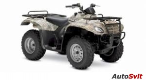Suzuki Eiger 400 4X4 Semi-Automatic Camouflage 2006