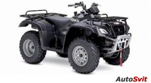 Suzuki Eiger Celebration Edition 2006