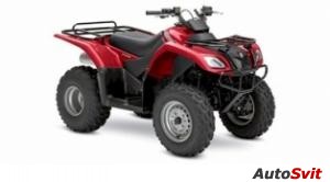 Suzuki Ozark 250 2006