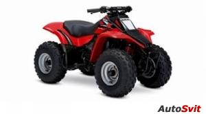 Suzuki QuadSport 80 2006
