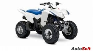 Suzuki QuadSport Z250 2006