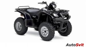 Suzuki Vinson Automatic 500 4X4 2006