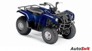 Yamaha Grizzly 125 2006