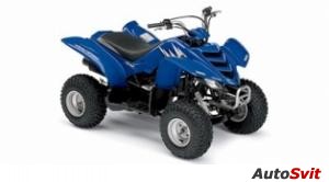 Yamaha Raptor 50 2006