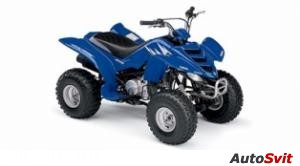 Yamaha Raptor 80 2006