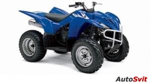 Yamaha Wolverine 350 2006