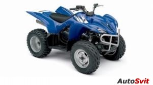 Yamaha Wolverine 450 4x4 2006