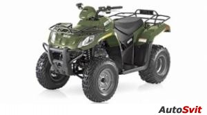 Arctic Cat 250 2x4 2007