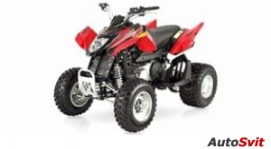 Arctic Cat 250 DVX 2007