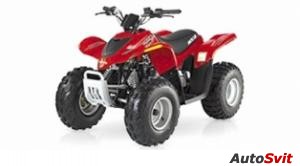 Arctic Cat 90 DVX 2x4 2007