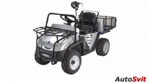 E-ton Rover GT Utility Kart 2007